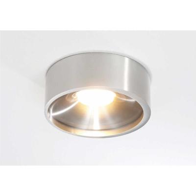Artdelight RVS plafonnièreOrlando Ø 14cm - PL ORLANDO ALU