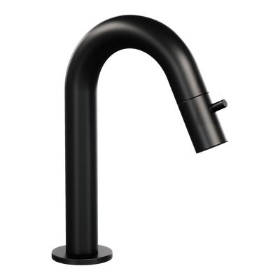 Opbouw Fonteinkraan Brauer Black Edition Met Gebogen Uitloop Mat Zwart