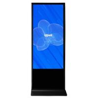 Interactief touchscreen iggual IGG318799 55"