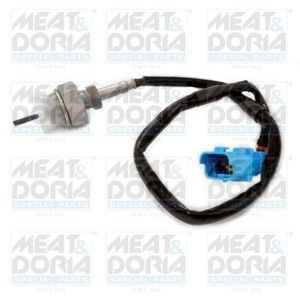 Sensor, uitlaatgastemperatuur 12302