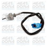 Sensor, uitlaatgastemperatuur 12302