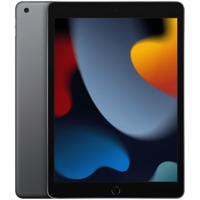 Apple iPad (2021) 10.2 256GB WiFi Tablet Grijs