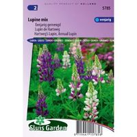 Lupinus Hartwegii zaden Choice Mix Lupine - thumbnail