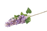 sering spray blauw