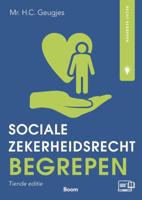 Socialezekerheidsrecht begrepen (Paperback)