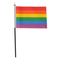 Regenboog vlaggetje met stokje