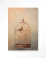 Bird Cage Bird Cage