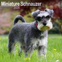 Miniatuur Schnauzer Kalender 2026