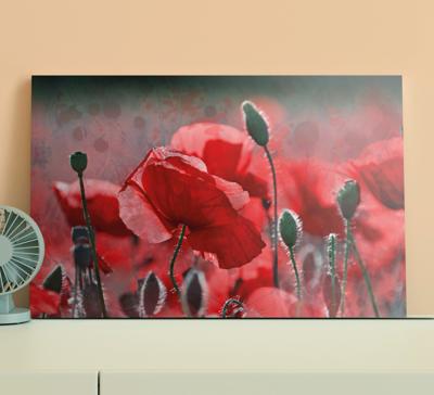 Canvas bloemen Rood en groen papaverveld