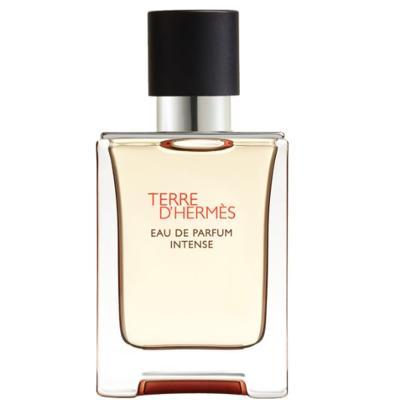 Hermès Terre d'Hermès Eau de Parfum Intense 100ml