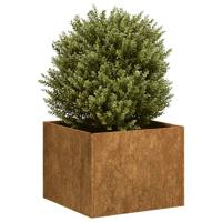 Plantenbak roestig 40x40x30 cm weervast staal