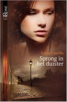 Sprong in het duister - Linda Castillo - ebook