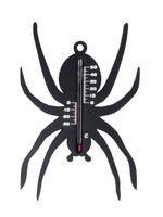 Muurthermometer kunststof zwart spin 15x10x0,3 cm - Nature