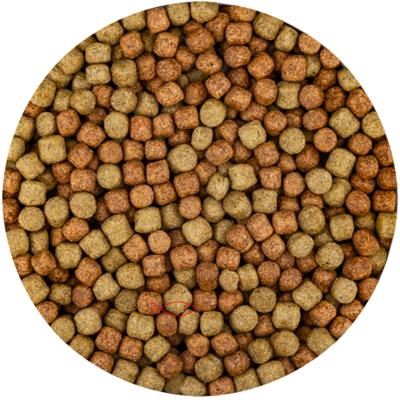 Vivani Multi Season 6mm Koivoer - Immuunversterkend voor Alle Seizoenen, 15kg