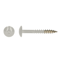 pgb-Europe PGB-FASTENERS | HPL schroef Tx20 4,8x38 R9002 A4 TRESP0A00038090023
