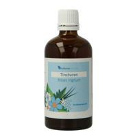 Balancepharma Ribes nigrum tincturen 100 Milliliter
