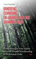 Bandoeng, Semarang en Jakarta van ooit verwaait nooit (Paperback)
