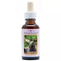 Animal Essences Moose (eland) 30 Milliliter