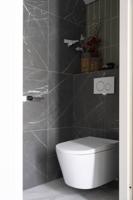 Saqu Elite douche-wc met softclose toiletzitting wit