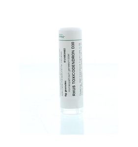 Rhus toxicodendron D30