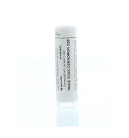Rhus toxicodendron D30