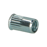 pgb-Europe PGB-FASTENERS | Blindklinkmoer klein VK kop M5x11,5 Zn RIVN52001005000113