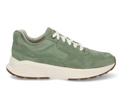 Xsensible Golden Gate 33200.4 468 pine Groen maat 42