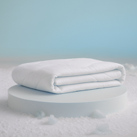 Dekbed Summer Comfort - 140x200 cm (Eenpersoons) - Dekbed Discounter - 200 gram per m² - Dekbed-Discounter.nl