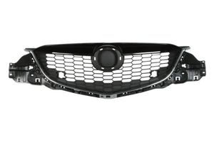 Radiateurgrille 6502073495990P