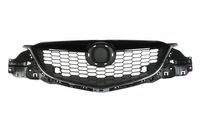 Radiateurgrille 6502073495990P