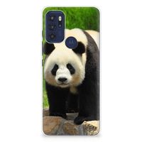 Motorola Moto G60s TPU Hoesje Panda
