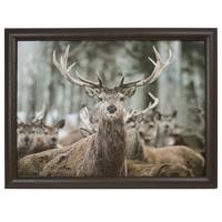 Schoottafel - hert print - 43 x 32 cm - laptray - schootkussen - schootblad