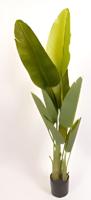 Trave palm 220 cm kunstplant Oosterik Home - Oosterik home