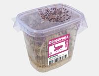 Reptofood Reptofood Fruitvlieg Groot