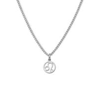 Minimalistische sterrenbeeld ketting - Stainless steel - Zilver - Leeuw - Leo
