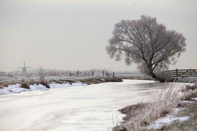 Tuinschilderij polder winter 70x50 - Customize it