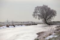 Tuinschilderij polder winter 70x50 - Customize it
