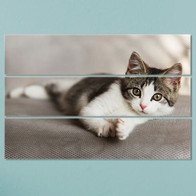 Foto op houten planken 75 x 48.8 cm