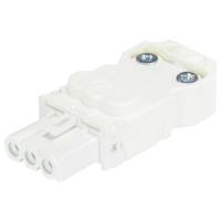 Wieland Electric 91.931.3053.0 Steekverbinder