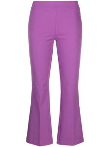 Blanca Vita pantalon Petunia à coupe courte - Violet