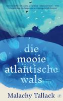 Die mooie Atlantische wals - Malachy Tallack - ebook