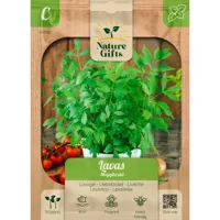 Lavas maggikruid 50st