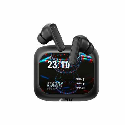 Oordopjes CGV Zwart