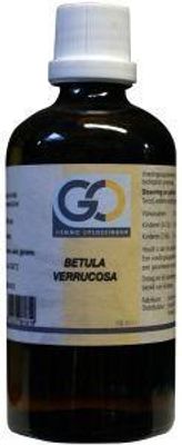 Betula verrucosa bio