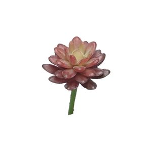 Kunst Sedum pick bordeaux - 16 cm - Nova nature