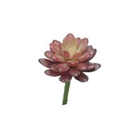 Kunst Sedum pick bordeaux - 16 cm - Nova nature Kunst Sedum pick bordeaux - 16 cm - Nova nature