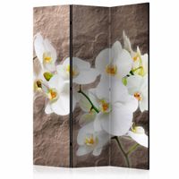 Vouwscherm - Perfectie van de Orchidee 135x172cm, gemonteerd geleverd (kamerscherm) dubbelzijdig geprint