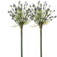 Allium/Sierui kunstbloem - 2x - losse steel - blauw - 70 cm - Natuurlijke uitstraling