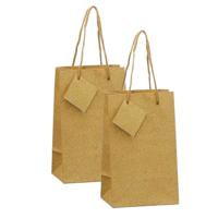 Luxe gouden papieren giftbags/cadeau tasjes - 10x - met glitters - 12.5 x 20 cm