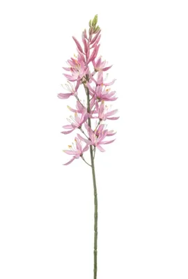 Emerald kunsttak camassia 61cm roze